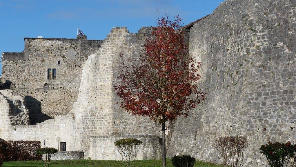 Forteresse de Chatel-Sur-Moselle景点图片