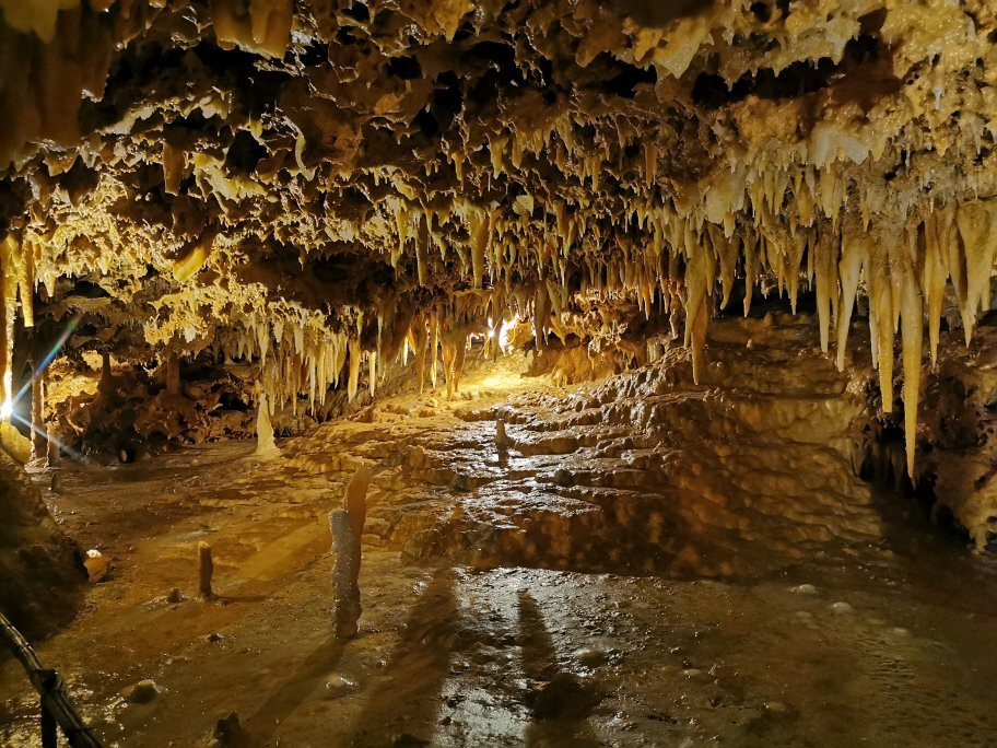 Grotte du Grand Roc景点图片