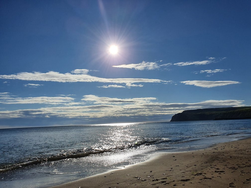 Cattersty Sands Beach景点图片