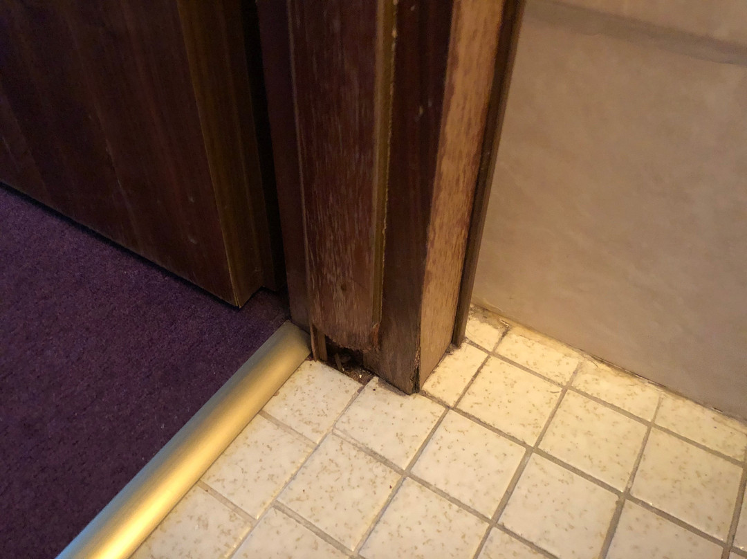 Harz Hotel Waldrausch主图