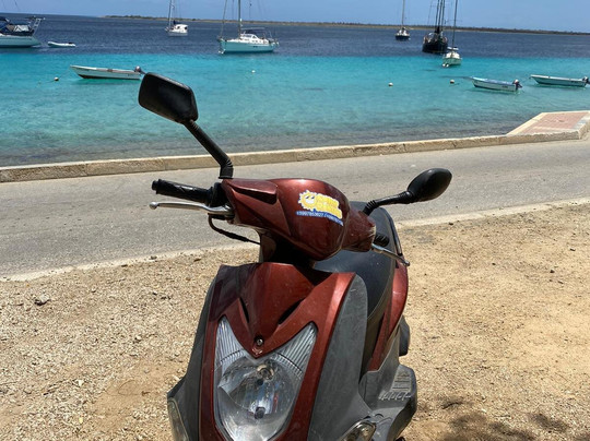 Smiley Rentals-Kralendijk必去景点