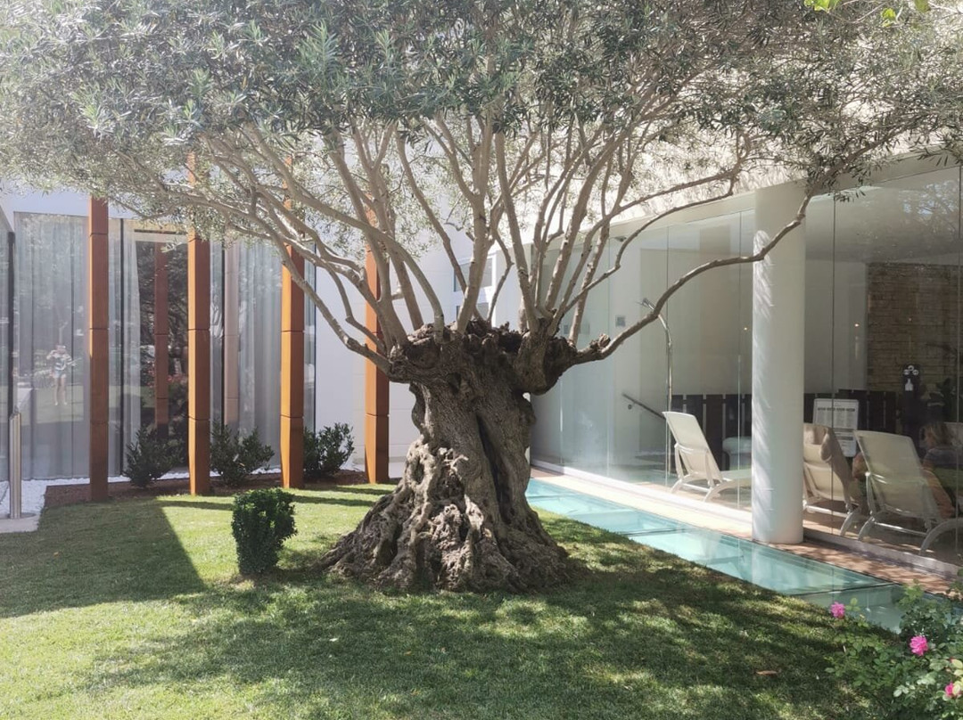 Jesolopalace Hotel & Aparthotel主图
