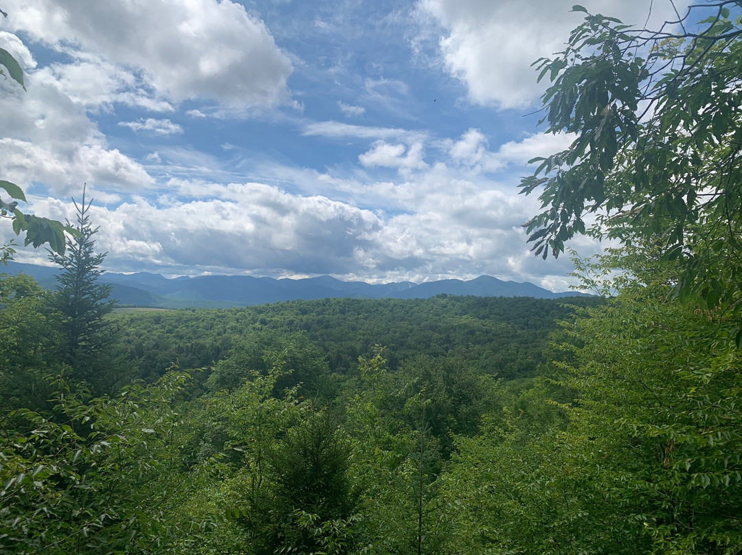 Henry's Woods-普莱西德湖必去景点