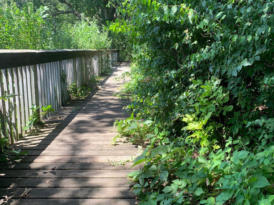 Elinor Bedell State Park-Spirit Lake必去景点