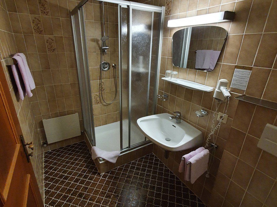 Pension Spiegl主图