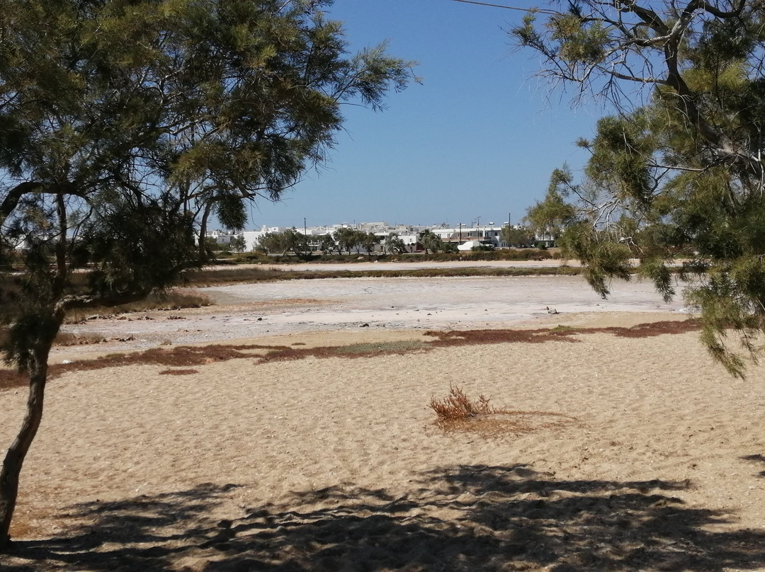 Psaralyki Beach-Antiparos必去景点