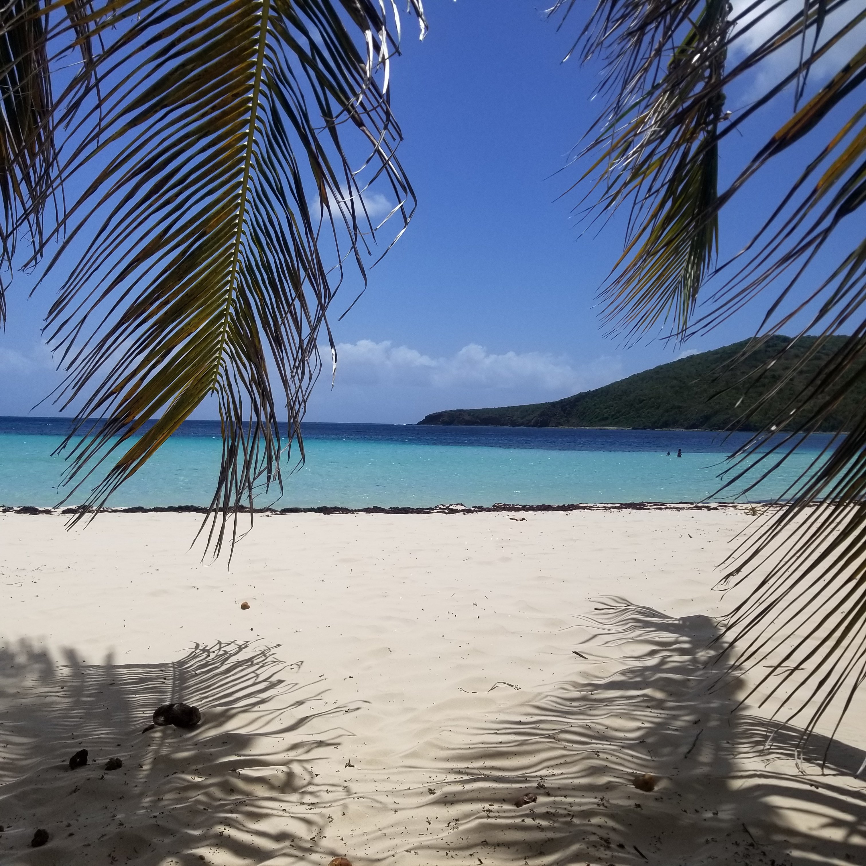Culebra Beach Villas-官方