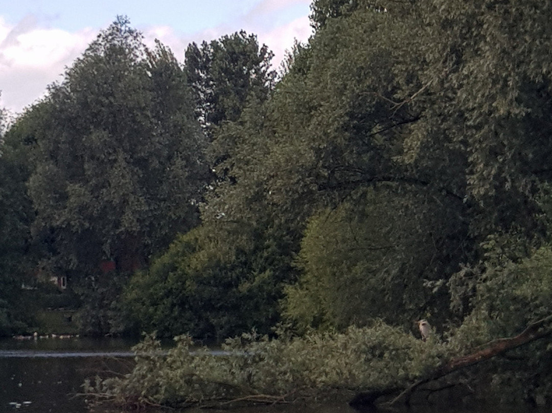 Kirk Hallam Lake & Meadow-Ilkeston必去景点