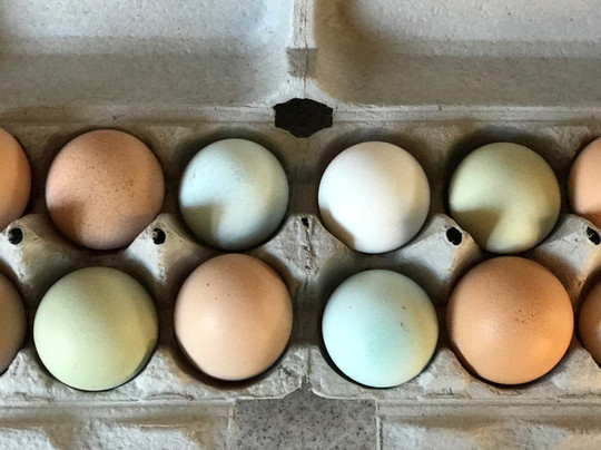 Folded Hills Farmstead-戈利塔必去景点