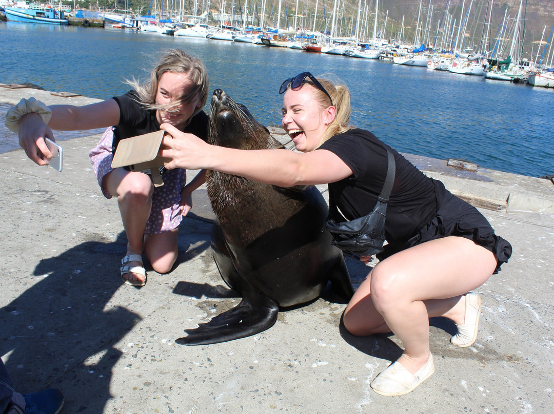 Flamboyant Travel and Tours-开普敦中心区必去景点