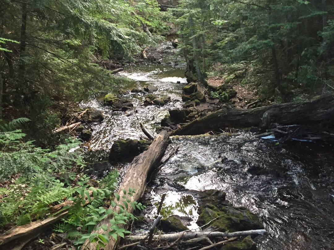 Chapel Falls-缪尼辛必去景点