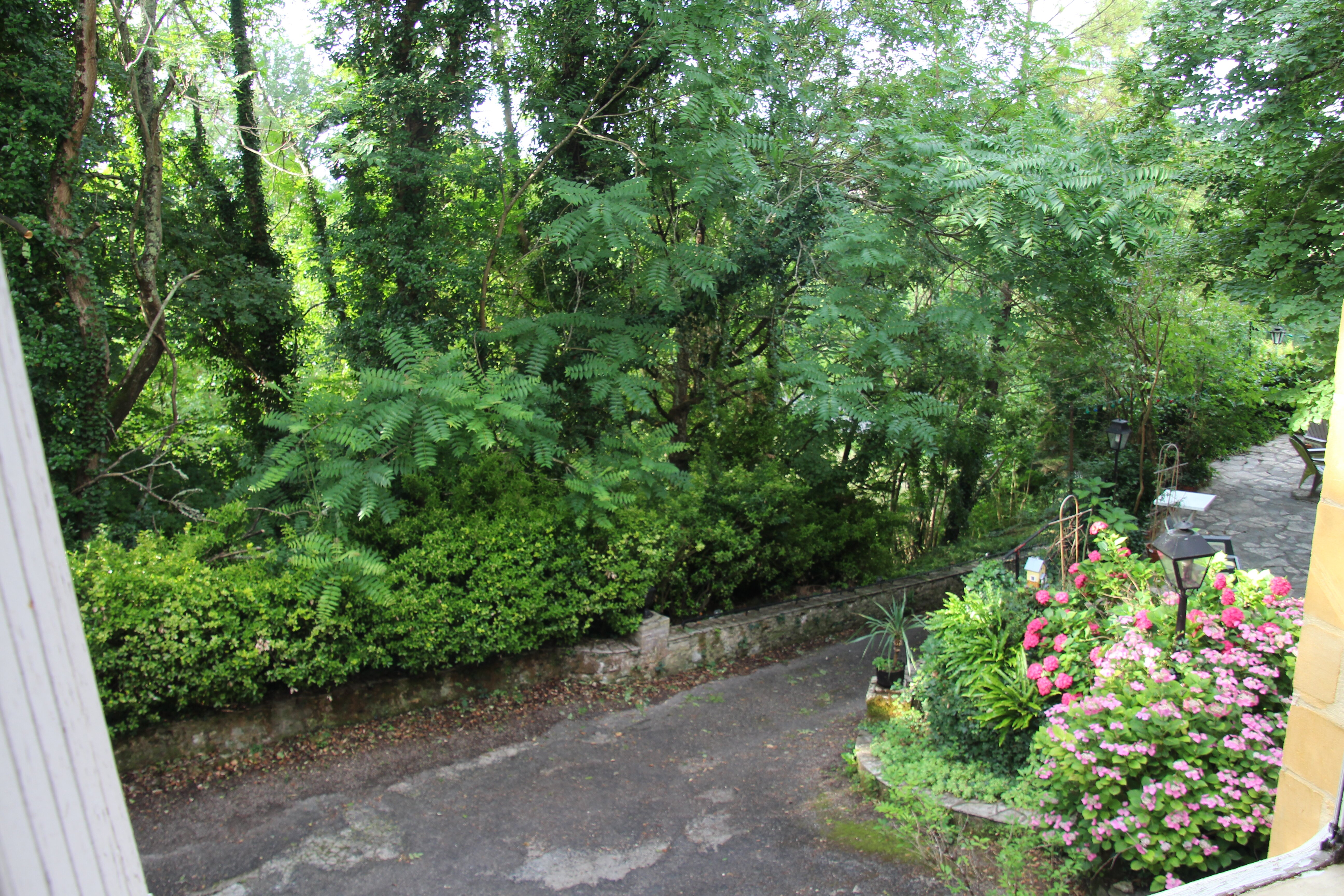 Hotel Restaurant Le Petit Chaperon Rouge-酒店景观