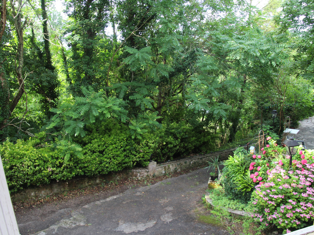 Hotel Restaurant Le Petit Chaperon Rouge主图