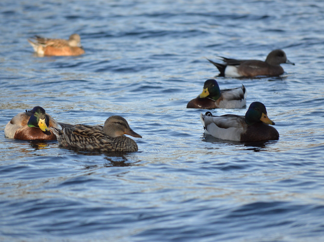 Don Knabe Community Regional Park
