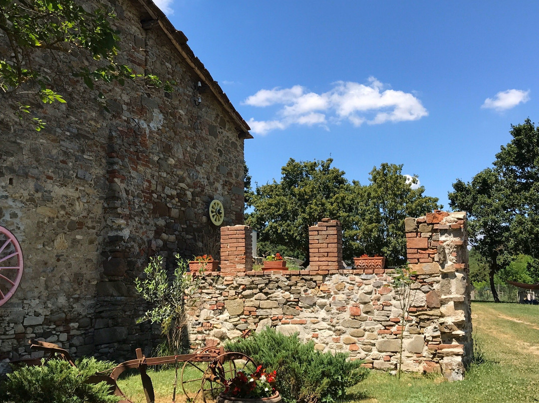 Locanda Di Alberi主图
