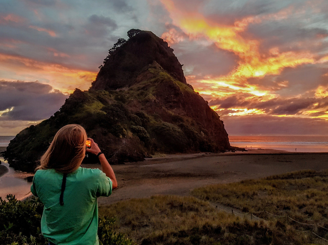 Trippy - West Auckland Adventures-皮哈海滩必去景点