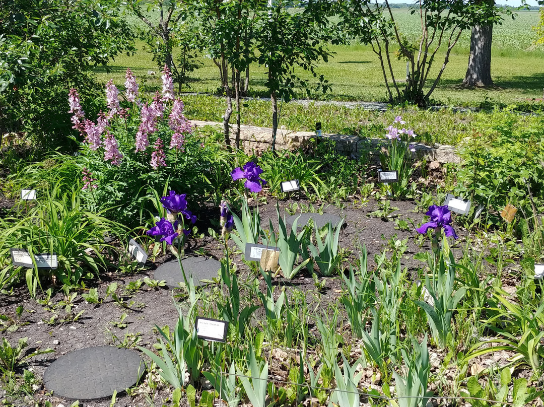 Beausejour Daylily Gardens-Beausejour必去景点