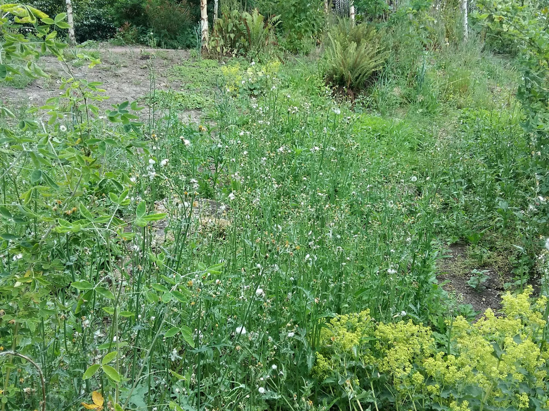 Parc Floral William Farcy-Offranville必去景点
