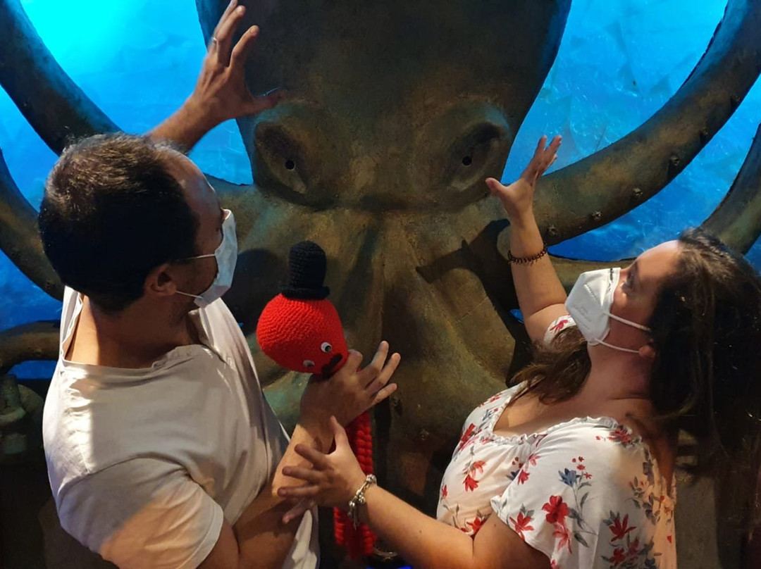 Futura Escape Room-Pineda de Mar必去景点