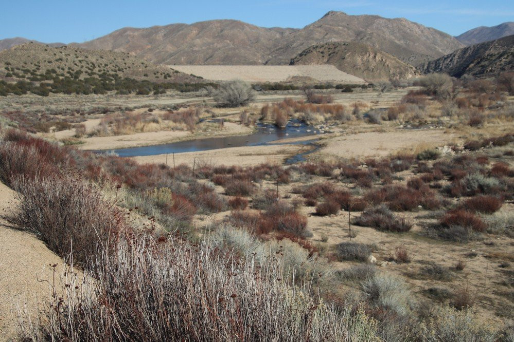 Mojave River Forks Regional Park景点图片