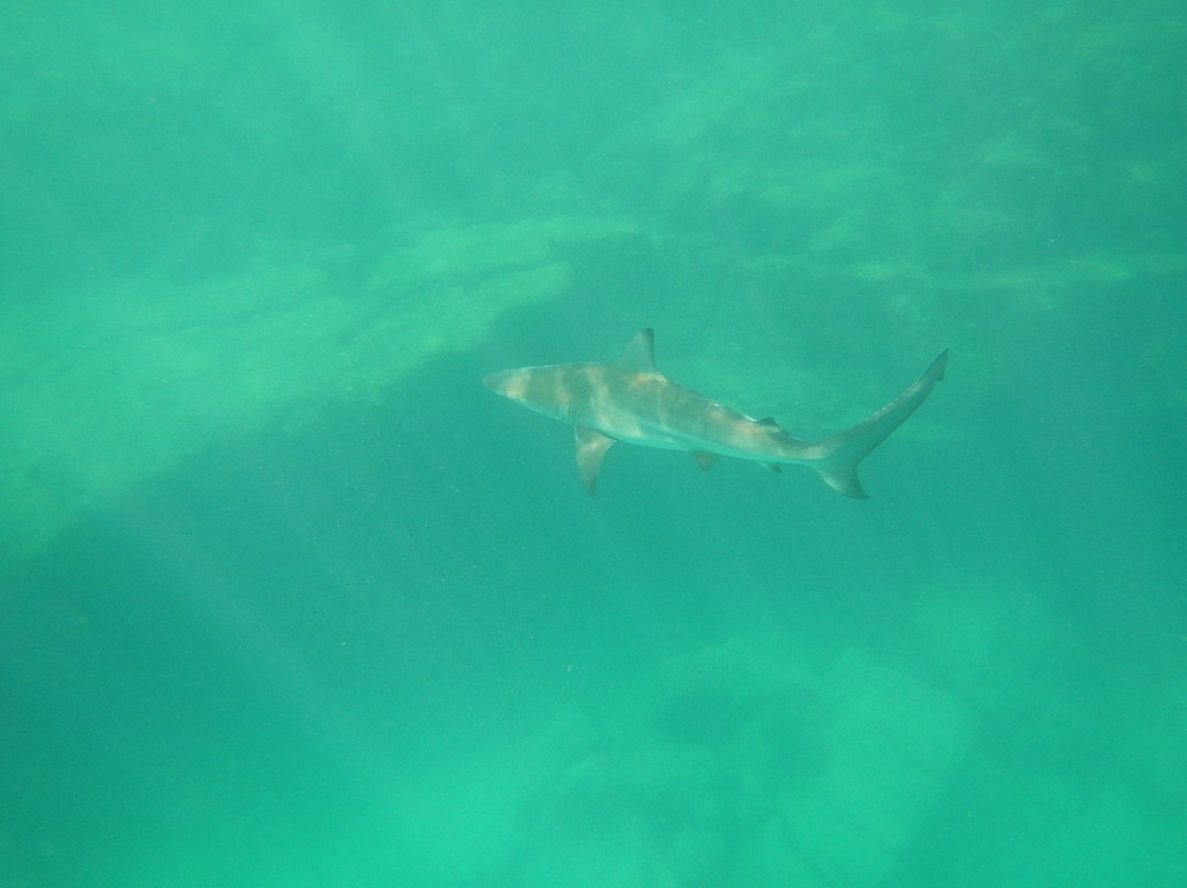 Kicker Rock-Puerto Baquerizo Moreno必去景点