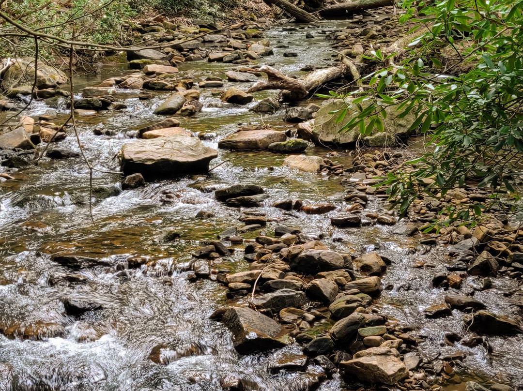Linn Run State Park景点图片