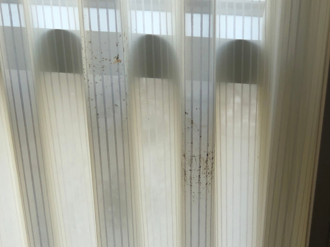 Hyatt Place Sarasota / Bradenton Airport主图