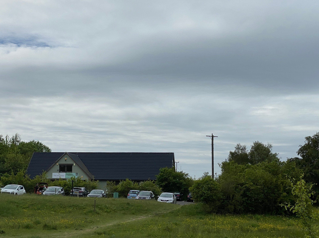 Rainton Meadows Nature Reserve & Visitor Centre-Houghton-le-Spring必去景点