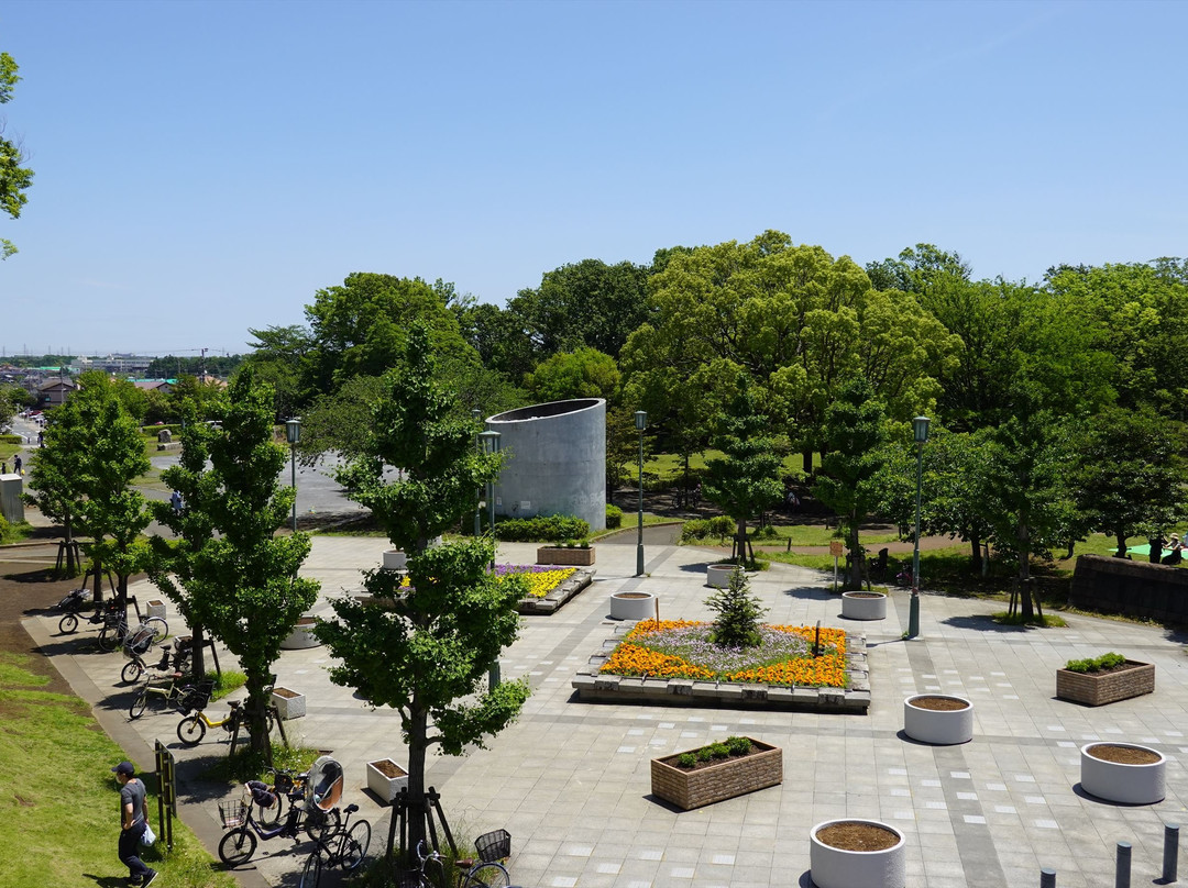 Shonandai Park景点图片