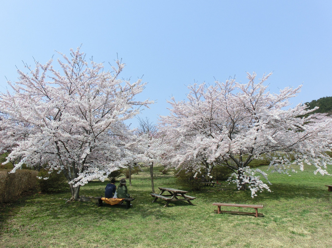 Goshonodaifureai Park景点图片