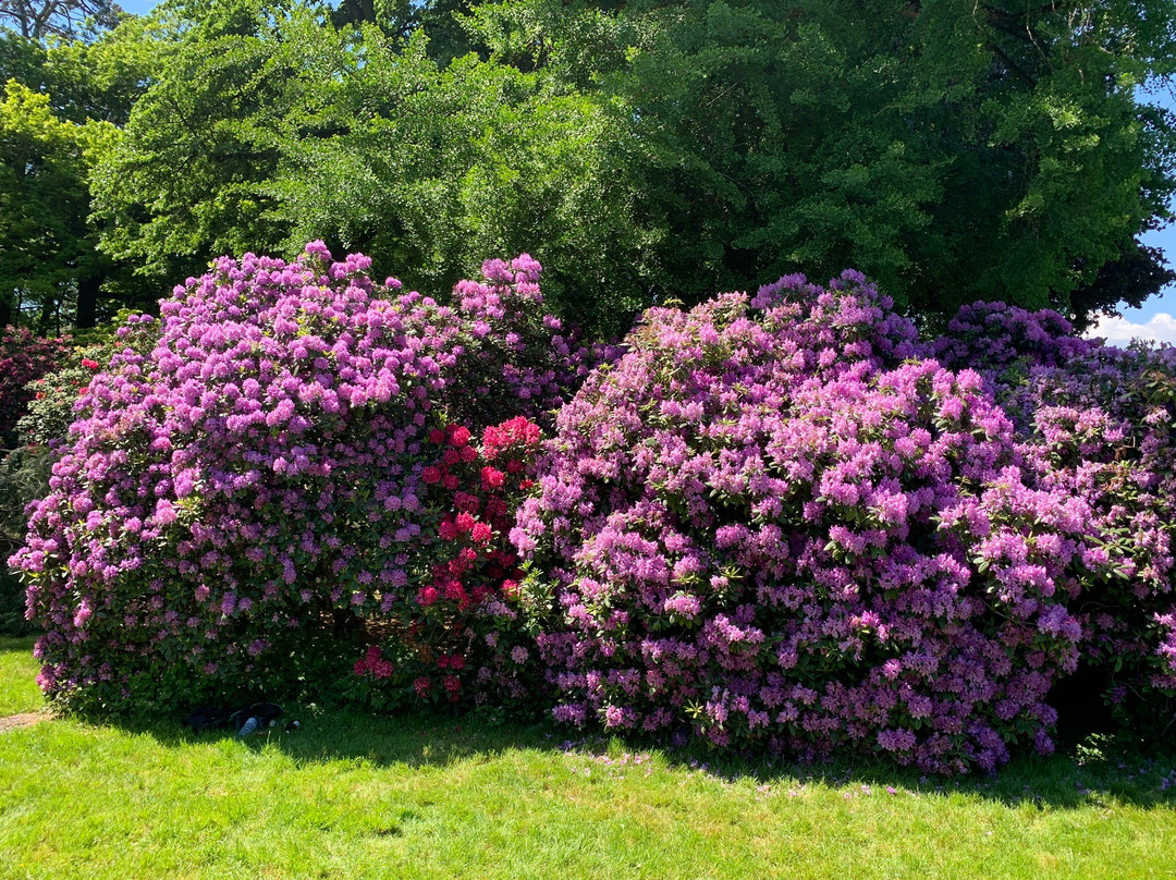 Parc des Eaux Vives景点图片