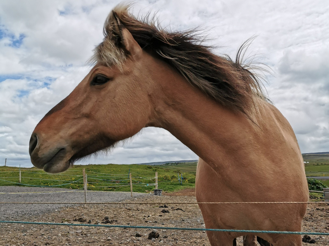 Golden Circle Route-南部地区必去景点