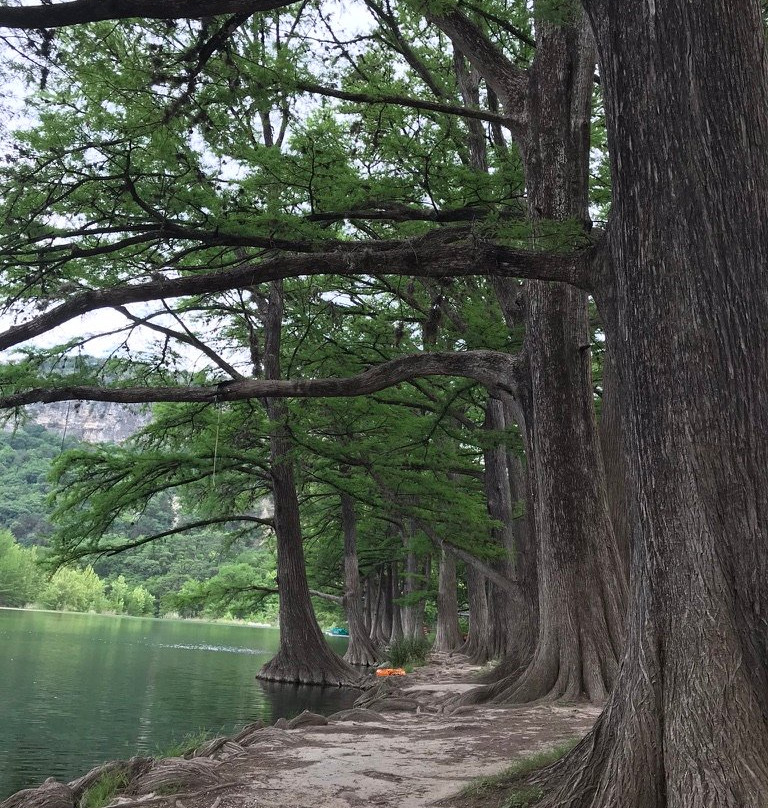 Garner State Park-Concan必去景点