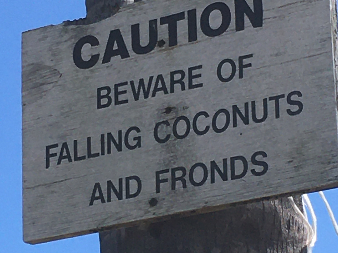 Whittington Beach Park-纳勒胡必去景点