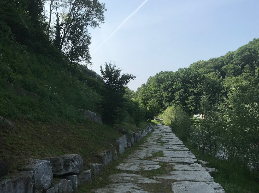 Parco Sul Fiume Cassarate Al Piano Stampa-卢加诺必去景点