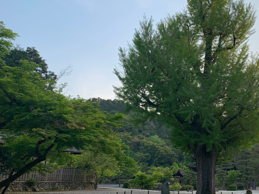 Kokeizan Eihoji Temple景点图片