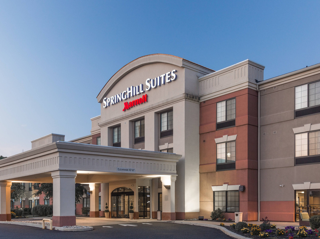 SpringHill Suites by Marriott Quakertown主图