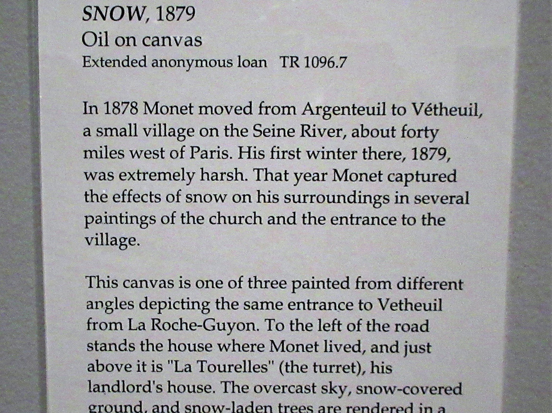 Museum of Fine Arts-圣彼德斯堡必去景点