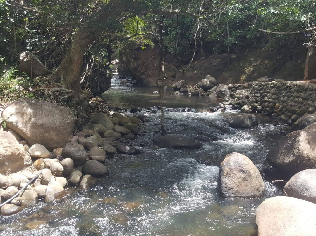 Rio Negro Hot Springs景点图片