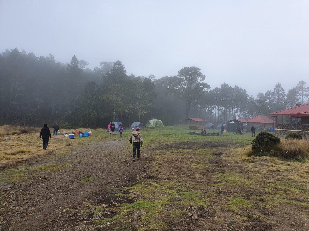 Parque Nacional Valle Nuevo景点图片