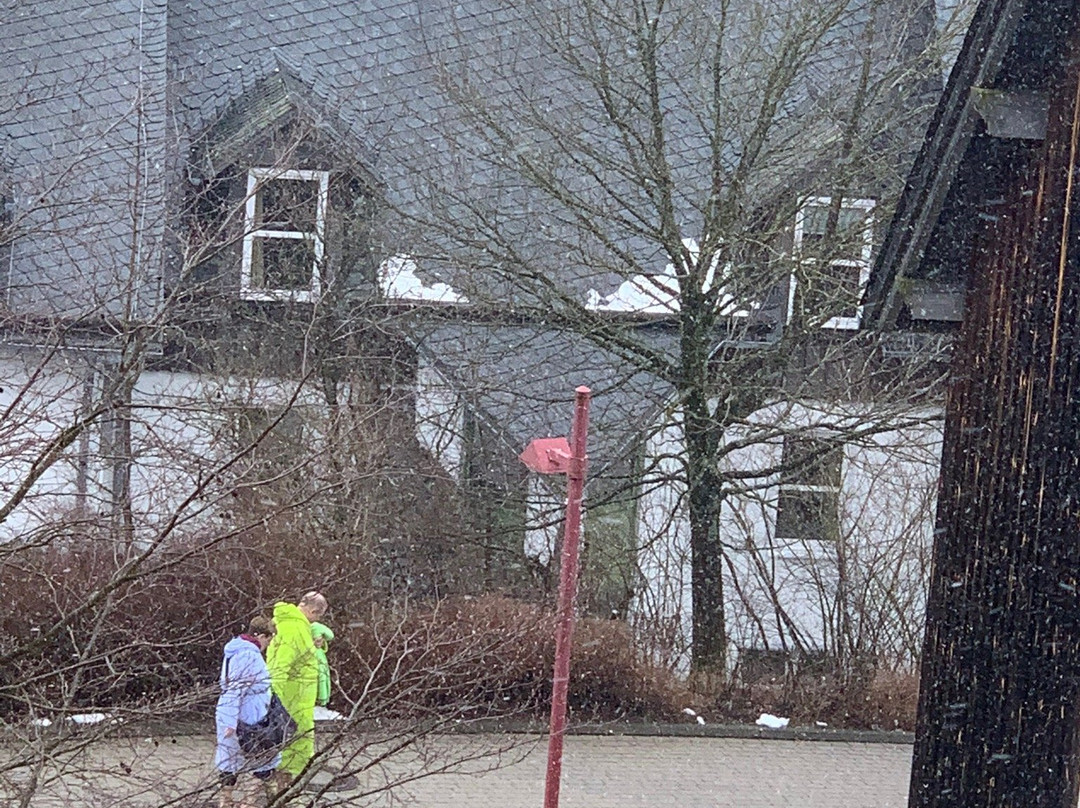 Hapimag Resort Winterberg主图