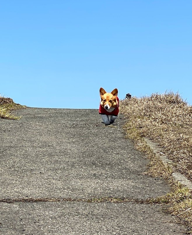 Mt. Kishima-阿苏市必去景点