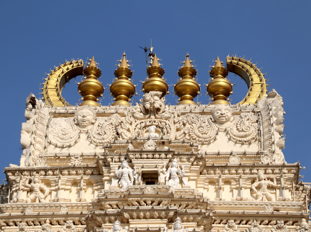 Trinesvaraswamy Temple景点图片