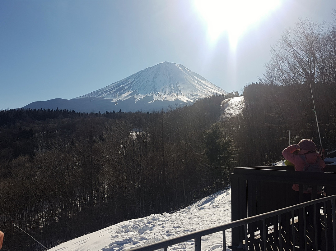 Fujiten Snow Resort景点图片