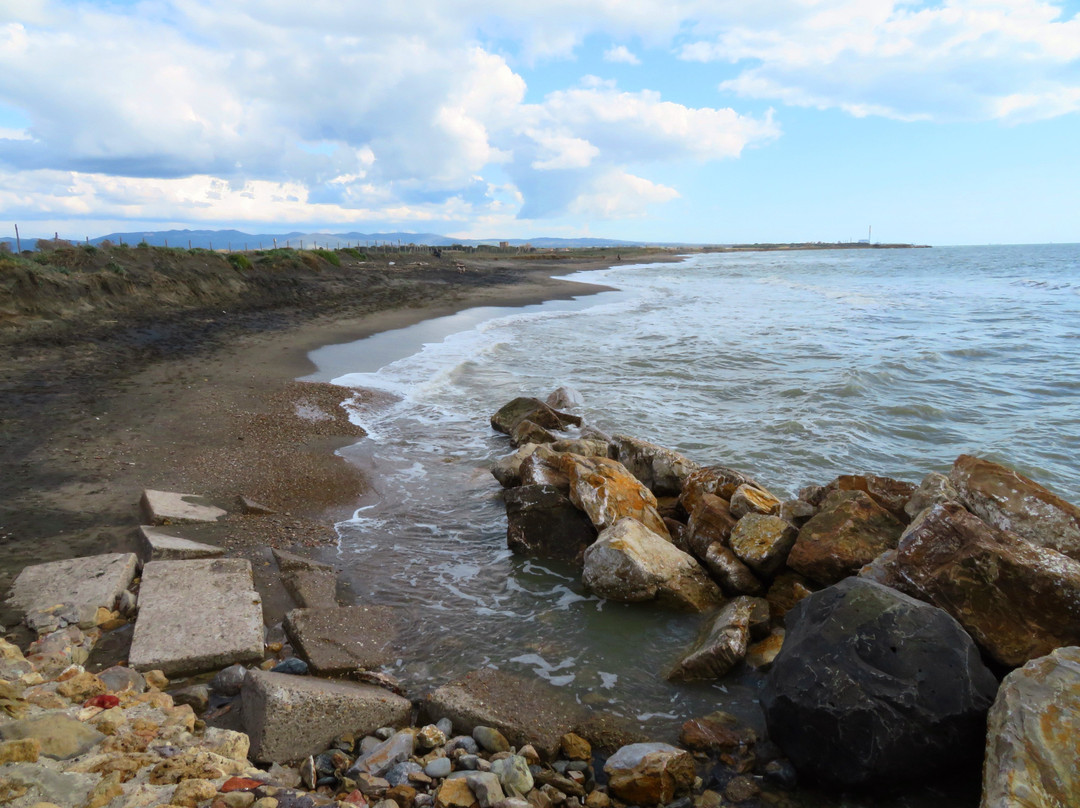 Saline di Tarquinia-塔尔奎尼亚必去景点