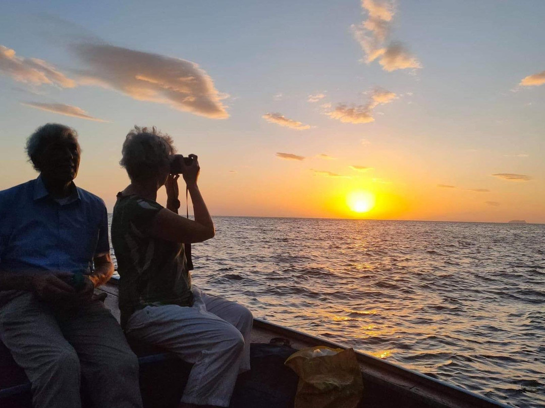 Phi Phi Island Tours Company-小皮皮岛必去景点