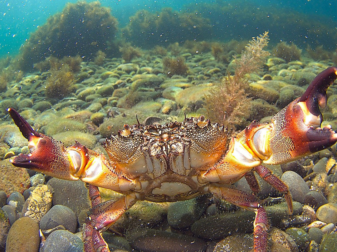Sukko旅游景点-The Black Sea Research Center Bolshoi Utrish