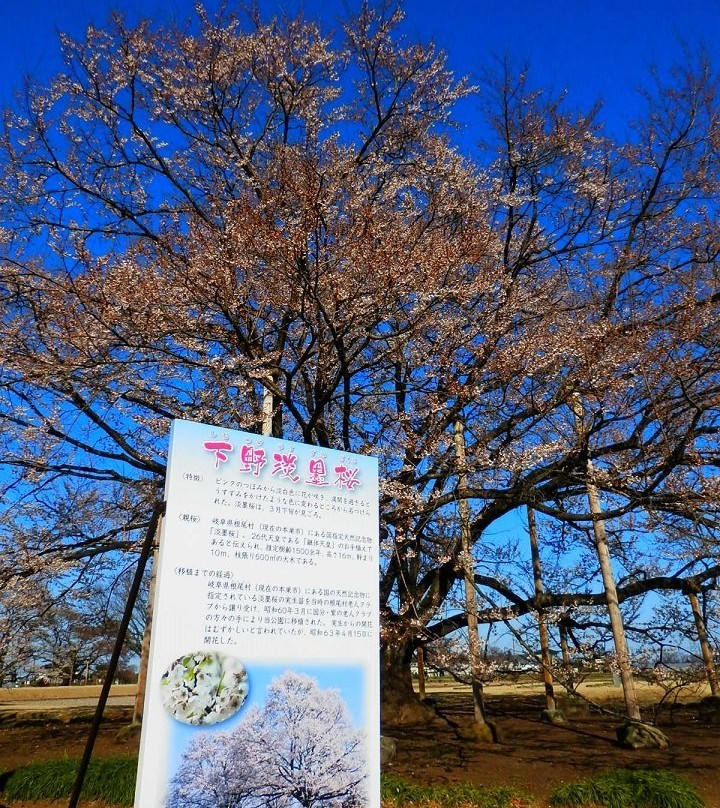 Tenpyo no oka Park-下野市必去景点