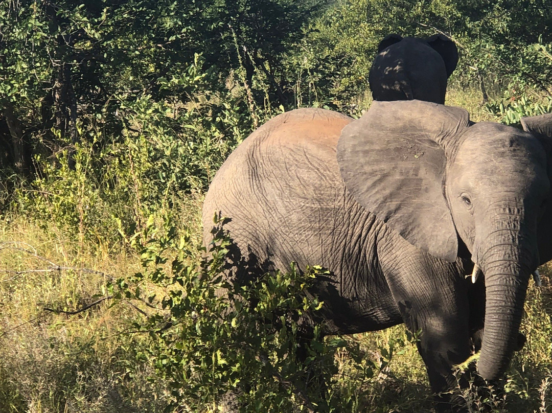 Klaserie Dam-Klaserie Private Game Reserve必去景点