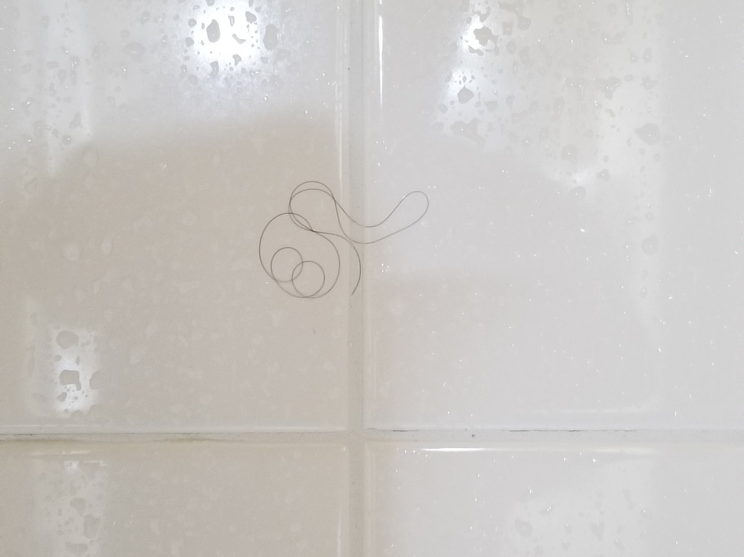 Holiday Inn Express & Suites Alice by IHG主图